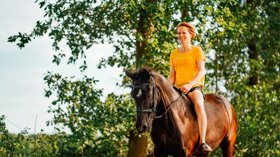 Reiter mit Pferd in heller Landschaft